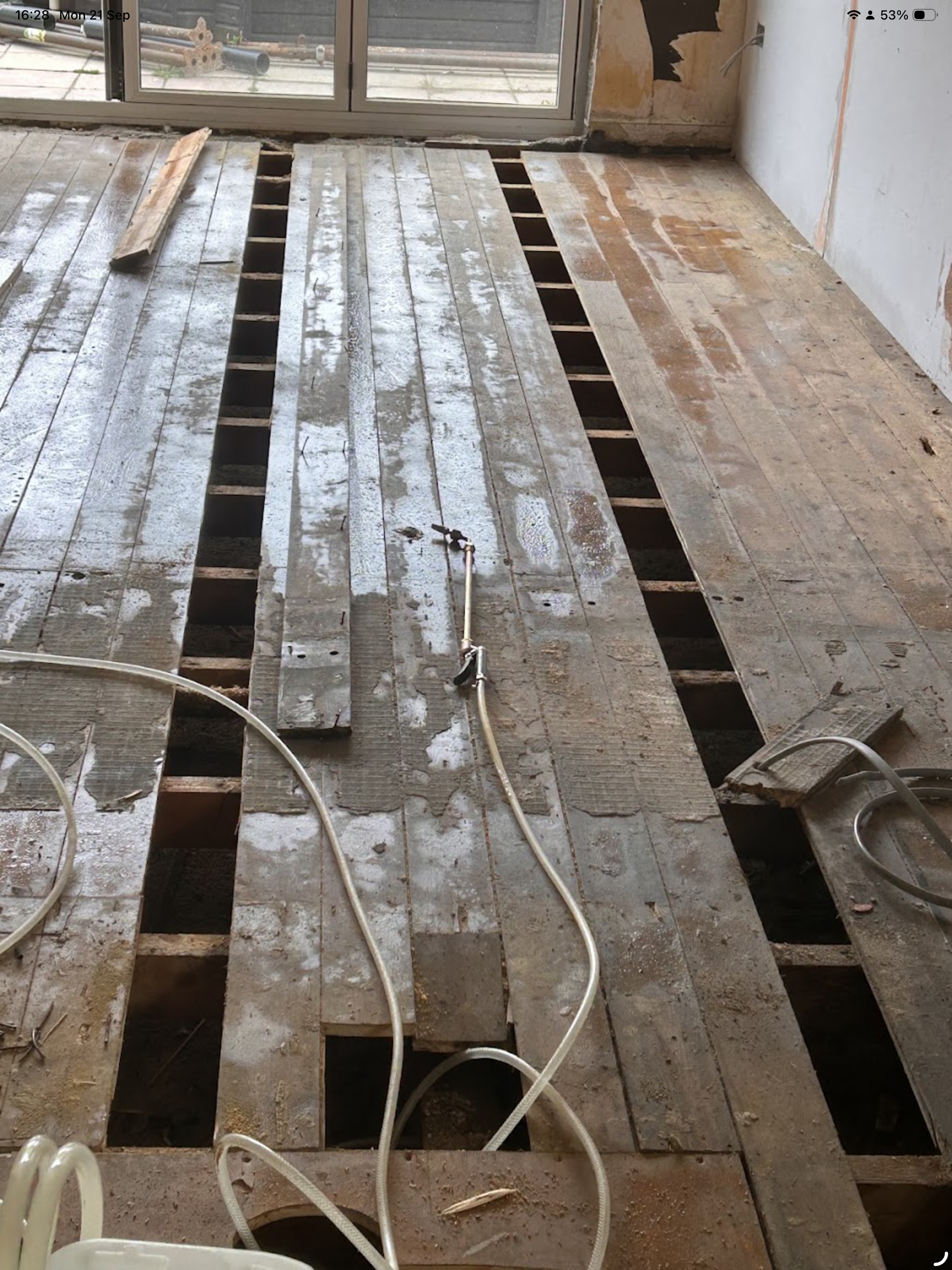 Wet rot and structural timber repair