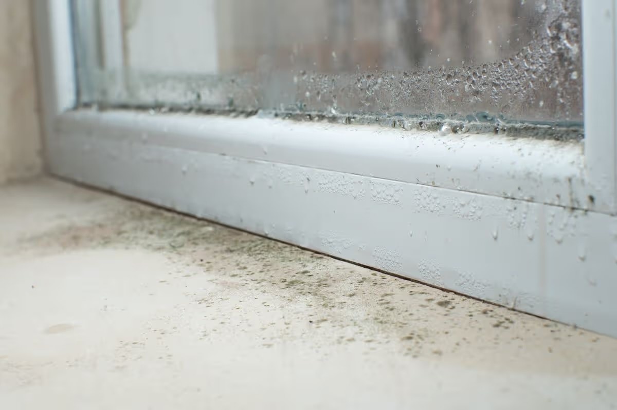 Condensation and mould on a wall