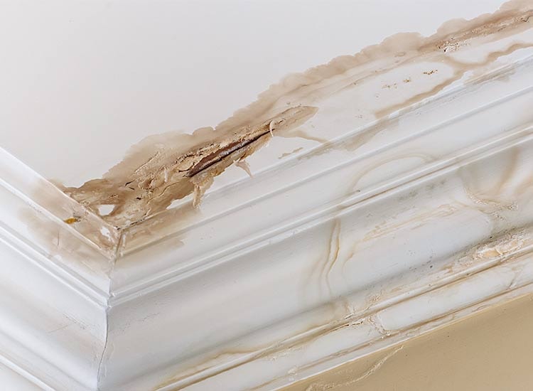 Penetrating damp staining on a wall